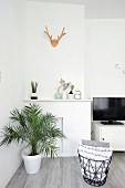 Potted palm in front of disused white fireplace and vase next to TV cabinet
