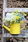 Wild flowers in yellow watering can stood on ladder