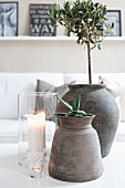 Plants in grey clay pots and glass candle lanterns