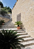 Potted plant on exterior steps running along façade of Mediterranean house
