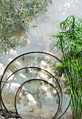Three nested metal rings next to plants against façade of Mediterranean house