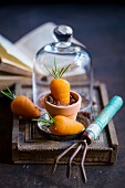 Marzipan carrots with rosemary leaves