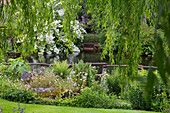 Idyllic garden with pond, flowering shrubs and hanging willow