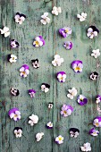 Stiefmütterchenblüten auf einem Brett mit abgeblätterter Farbe