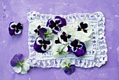Violas on lace cloth