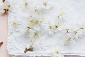 White blossom on white fabric with decorative hem