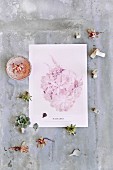 Succulents, letter stamps and pastel photo print