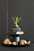 Easter arrangement of hyacinth, various eggs and egg shells on black cake stand