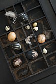 Variously painted eggs decorated with gilt, glitter and feathers in dark display case