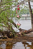 Roses and sweet Williams in three suspended vases on river shore