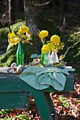Yellow flowers in glass bottles on metal tray in woods