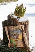 Moss crown and treasure map on snowy tree stump