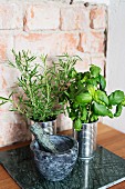 Herbs in tin cans and mortar and pestle against rustic brick wall
