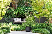 Lush green courtyard garden with bench and ground cover