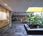 Bed of plants below light well in open-plan interior of concrete house