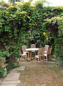 Seating place with Parthenocissus