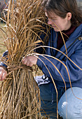 Tie grasses together in autumn