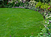 Lawn with flowerbed