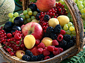 Fuit basket with currants, plums, apricots, apples, blackberries