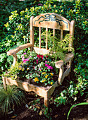 Blumenstuhl: Sitzfläche aus Impatiens walleriana / Fleissiges