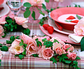 Pink 'Shirley Spray' (Rose), Clematis (Clematis)
