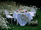 Gedeckter Tisch mit Leucanthemum / Margerite, Alchemilla / Frauenmantel