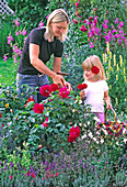Mutter und Kind beim Rosa / Rosen schneiden