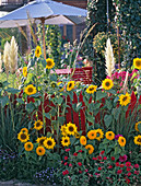 Summer flowers in front of red fence