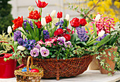 Tulips, hyacinths, daisies