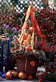Autumn arrangement of Zea mays corncob, lantern flower, Calluna