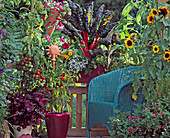 Vegetable balcony, tomatoes, coleus, petunia