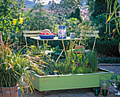 Holzcontainer mit Folie ausgekleidet u. bepflanzt mit Alisma,