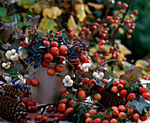 Tin vase with malus, symphoricarpos, hypericum berries