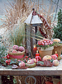 Arrangement with apples, grasses, hedera ivy, candles and lantern in hoarfrost