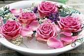 Bowl of water and rose petals, salvia (sage)