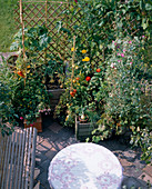 Vegetables and flowers