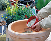 Plant clay pot
