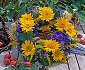 Helianthus 'Capenoch Star' (Sunflowers)