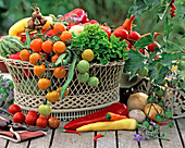 Metal basket with lycopersicon (tomato)