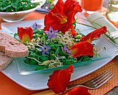 Edible decoration, Hemerocallis (Daylily)