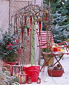 Salix caprea 'Pendula' with fairy lights, red hanging bag
