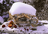 Birdhouses in the snow