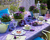 Viola odorata (scented violets), wreaths, heart