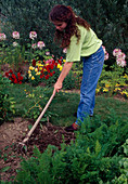 Woman relaxing earth with the krail beside carrots, carrots, behind summer flowers