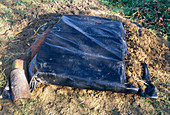 Vegetable stock in the dirt, cover with foil