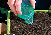 Gemüseaussaat 5. Step: Samen mit Aussaathilfe gleichmäßig ausbringen 5/8