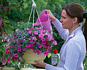 Young woman waters hanging basket