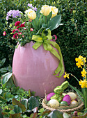 Tulipa ' Inzell ' (Tulpen)