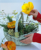 Basket with poppy seeds
