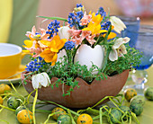 Terracotta egg with cress